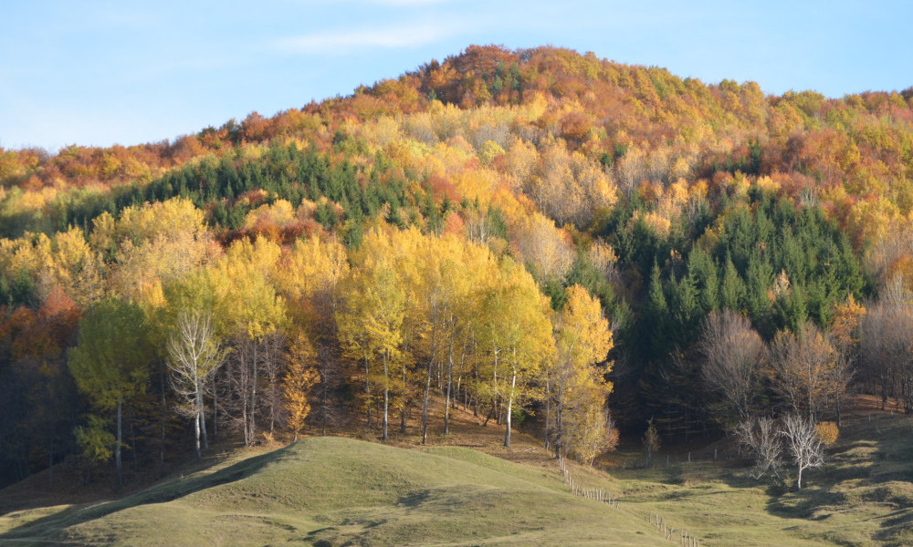 Piasajes de otoño en Rumania