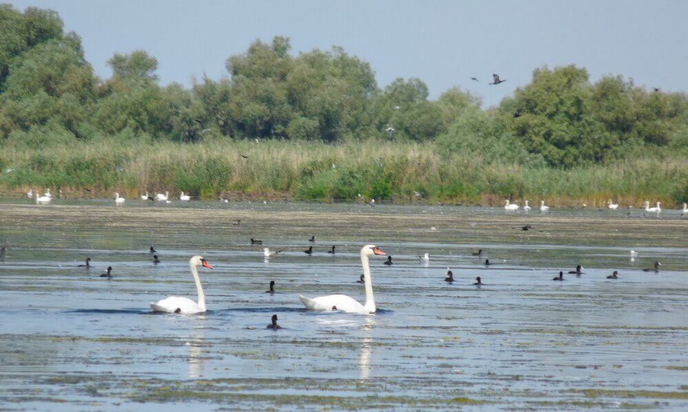 delta del Danubio