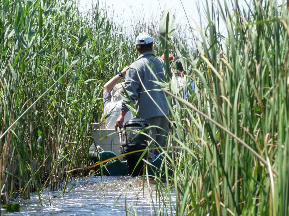 excursiones de pesca delta del danubio