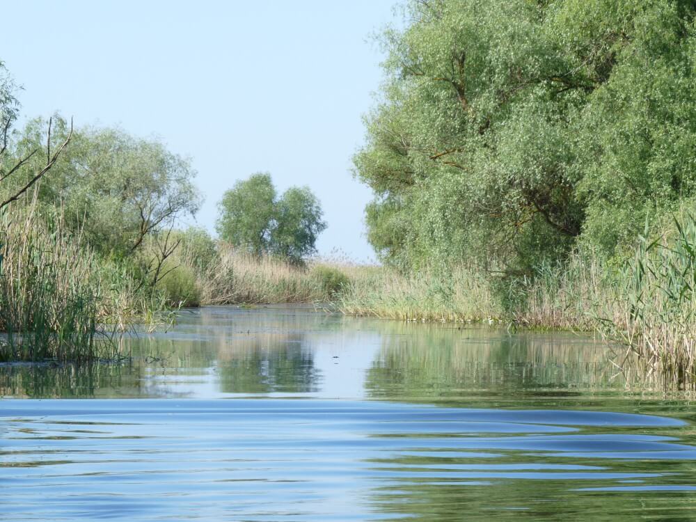 excursiones de pesca delta del danubio