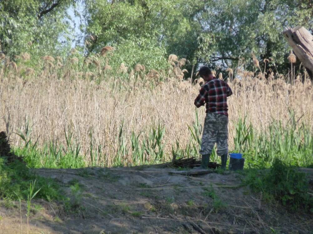 excursiones de pesca delta del danubio