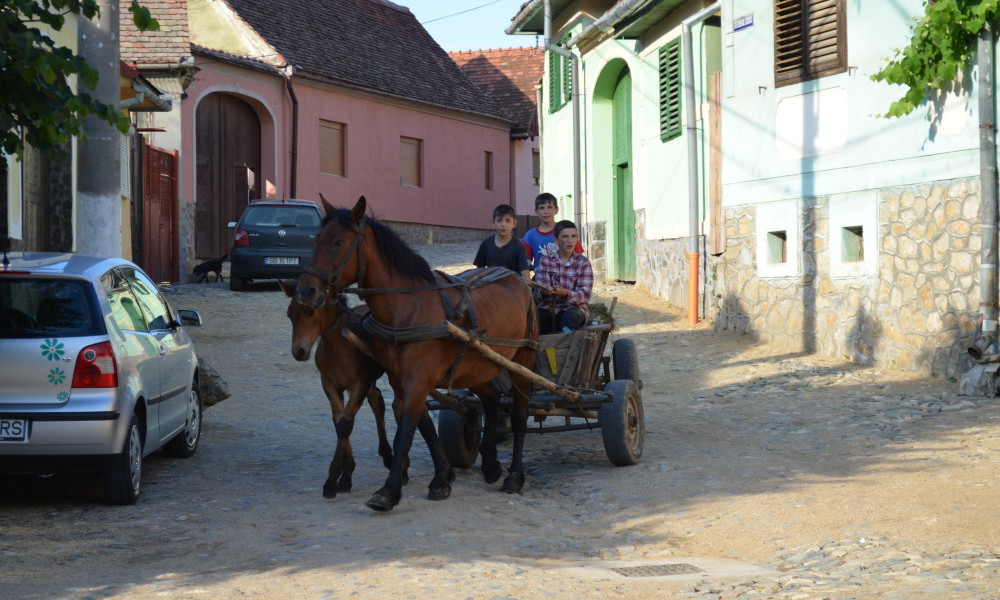 carro de caballo en Rasinari