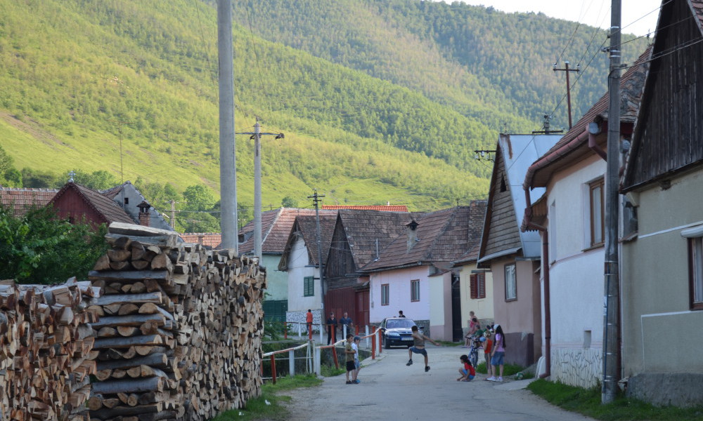 vida rural en Rasinari Transilvania