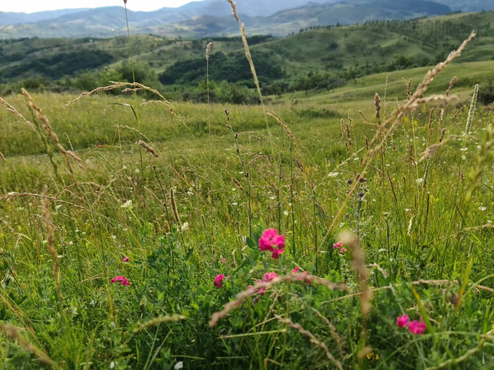 que sorprende a los espanoles en rumania