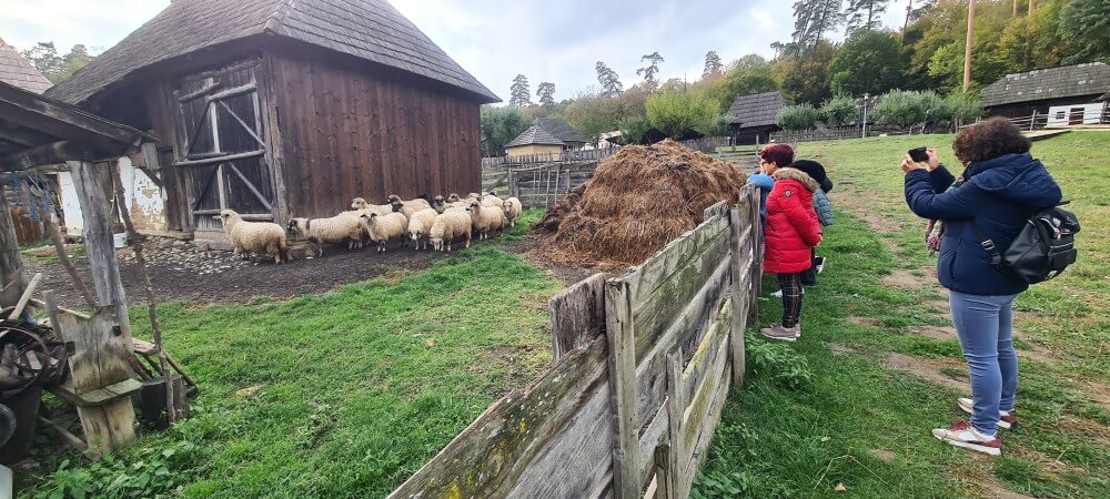 que sorprende a los espanoles en rumania