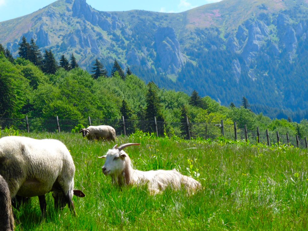 razones para visitar rumania