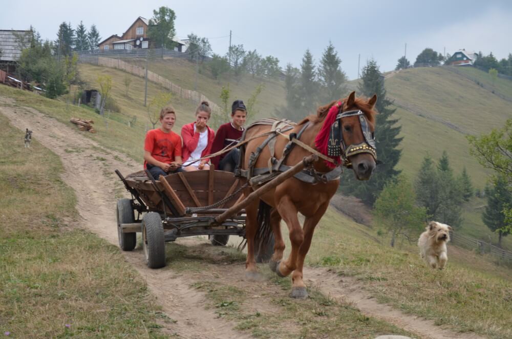 rumania vista por mis clientes