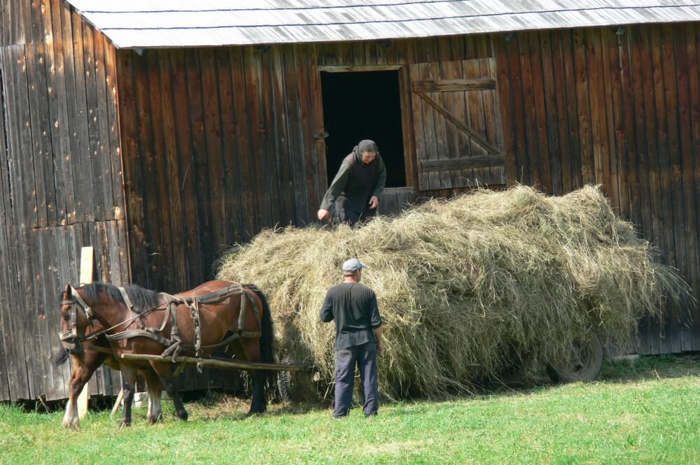 las mejores rutas por rumania
