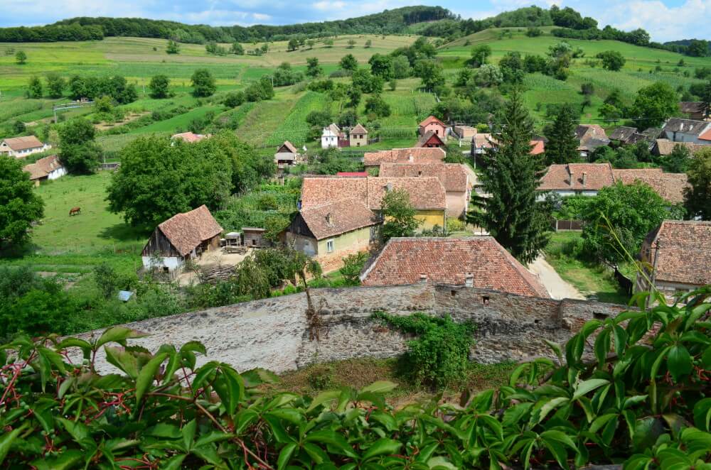 sajones de transilvania