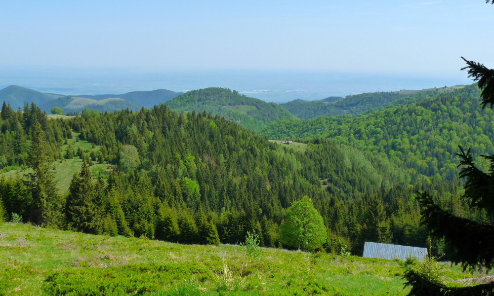 viajes senderismo bucovina