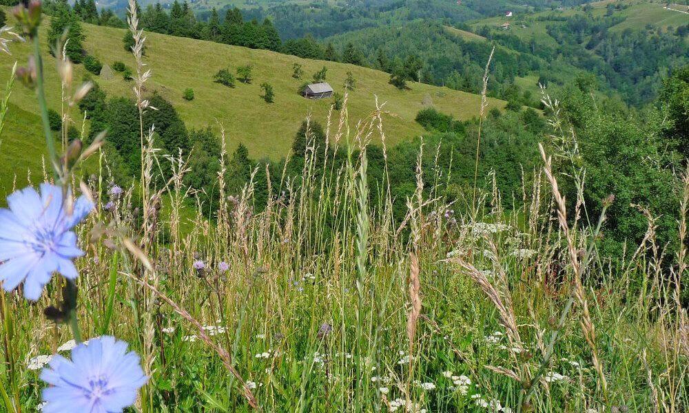 fotos, imagenes de senderismo por los carpatos de rumania, circuitos senderismo rumania