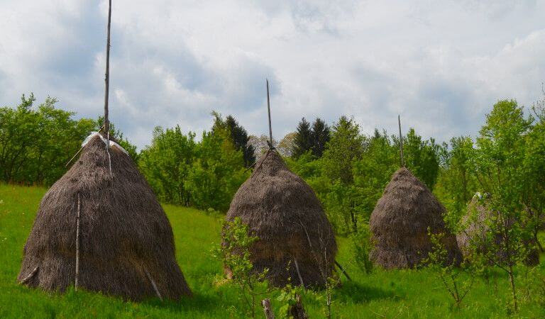carpatos rumania
