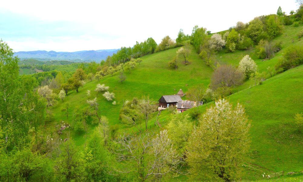 Senderismo carpatos Rumania