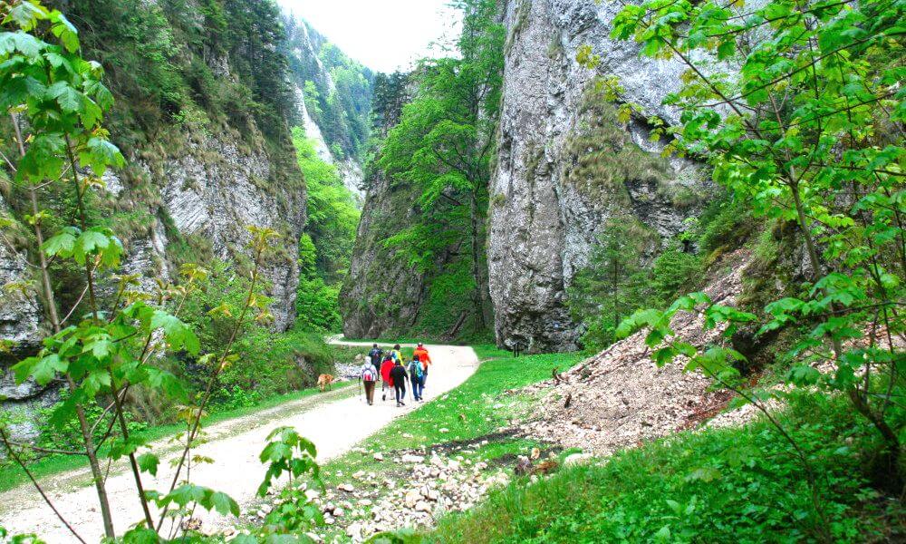 Senderismo carpatos Rumania