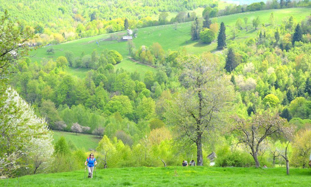 senderismo Sibiu Transilvania