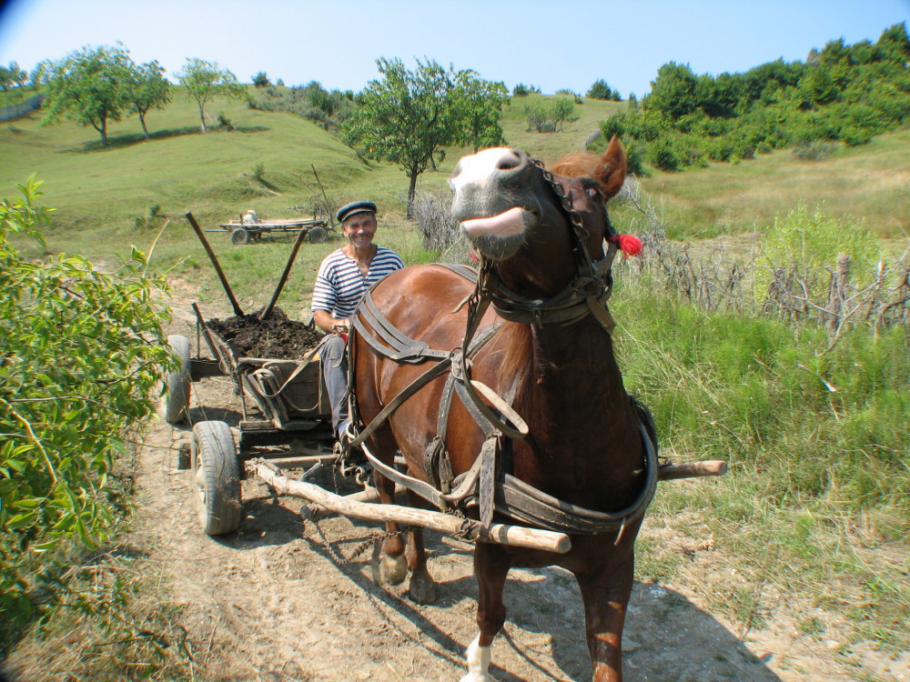 pueblo con encanto rumania