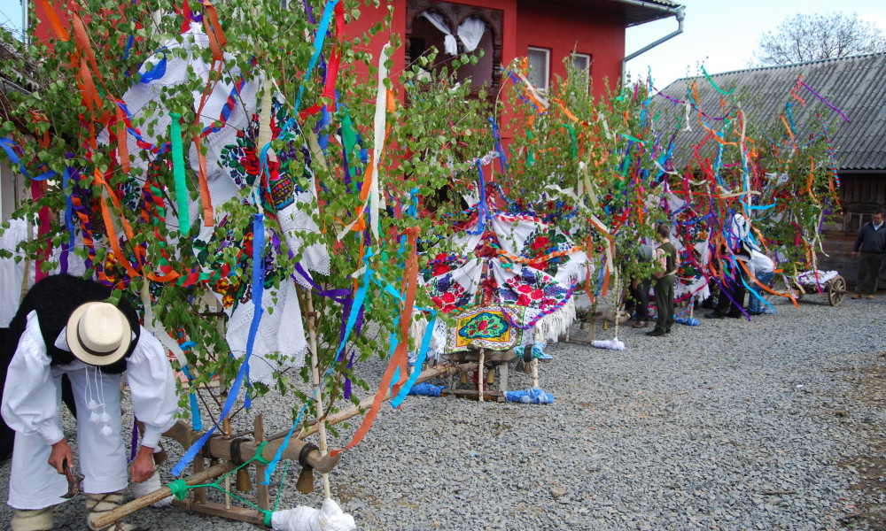 fiesta folclorica Tanjaua Maramures