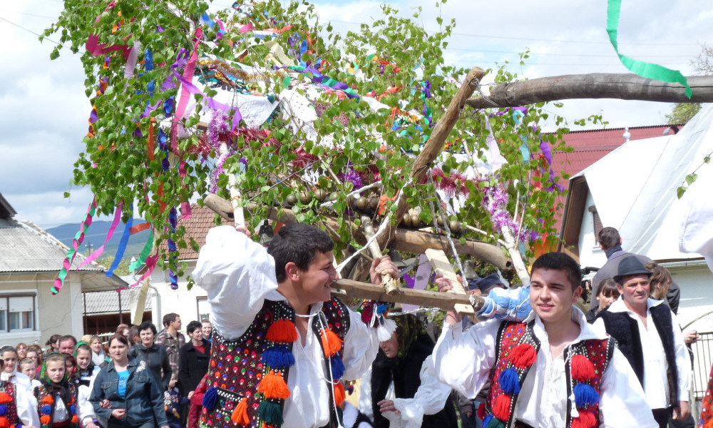 Tanjaua Maramures