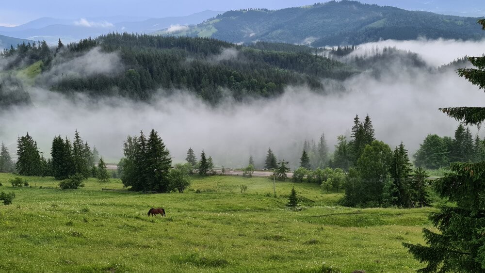 transilvania turismo naturaleza
