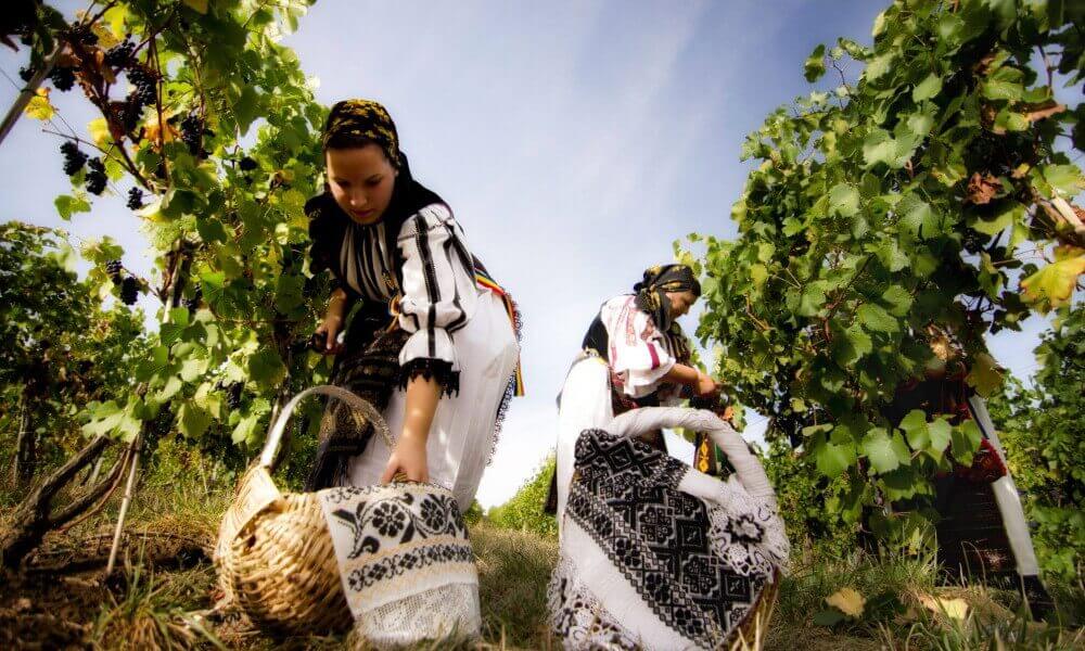 Visitas bodegas Rumania Visitas bodegas Rumania
