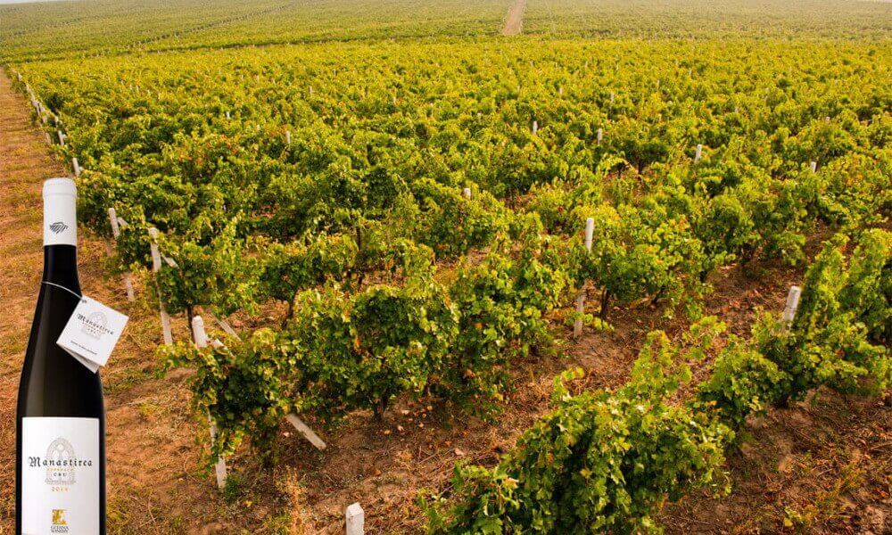 bodegas rumania Bodegas rumania