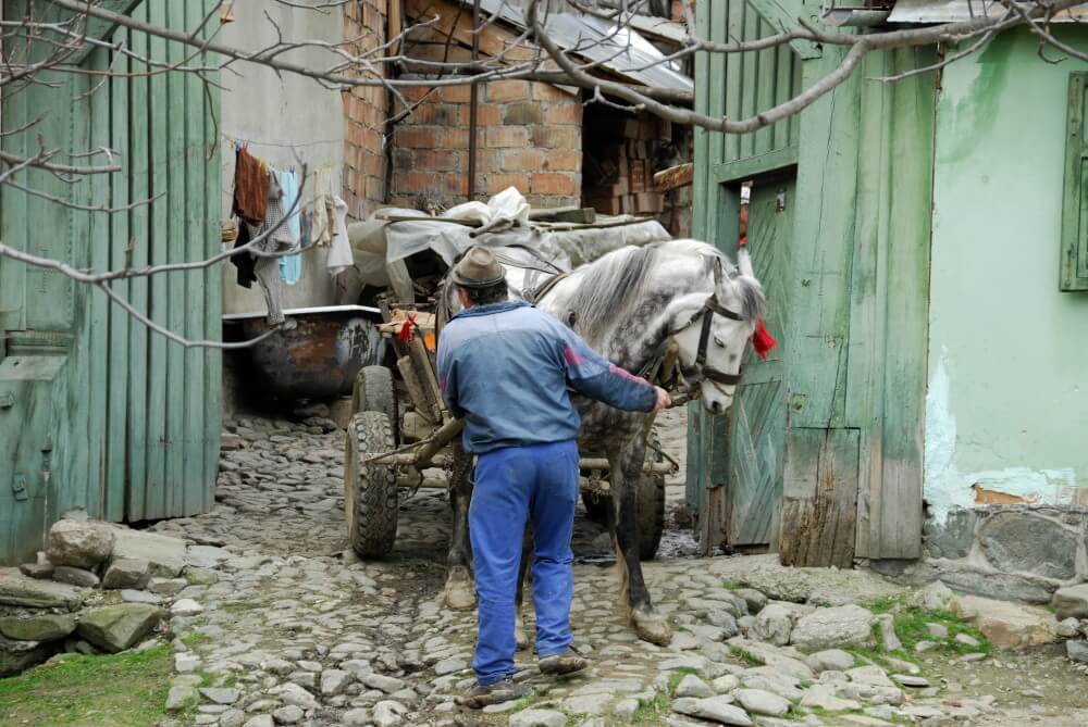 viajar con guia por rumania