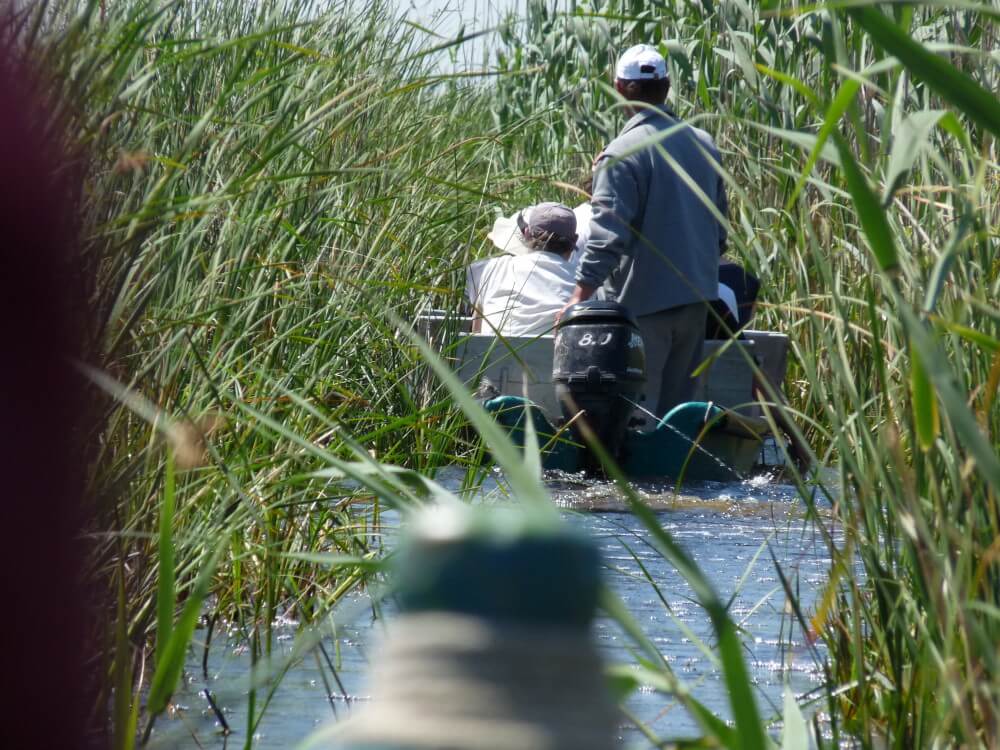 viaje delta del danubio