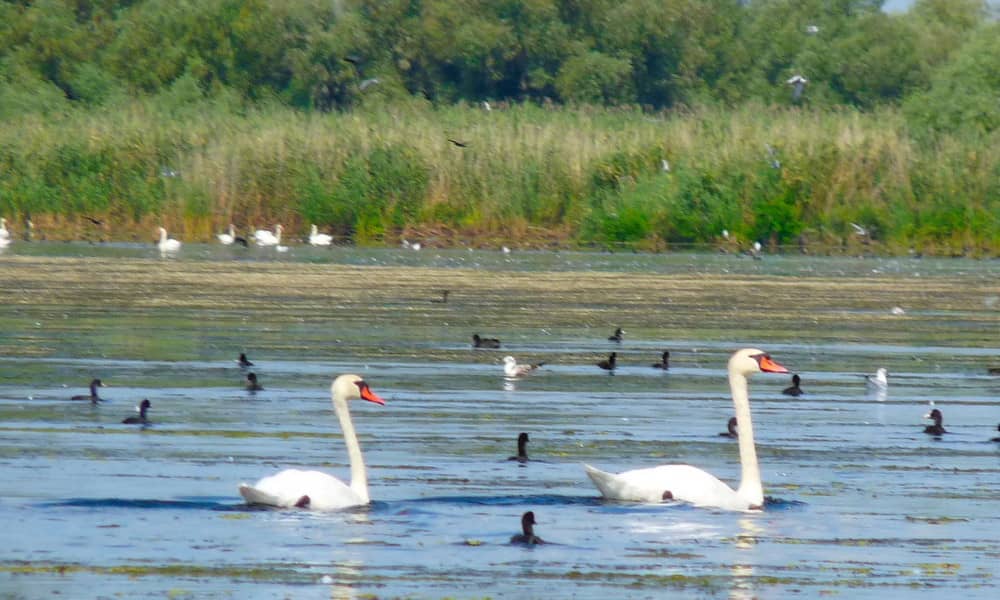 viajes delta del danubio, Rumania