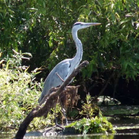 viajes naturaleza Rumanía