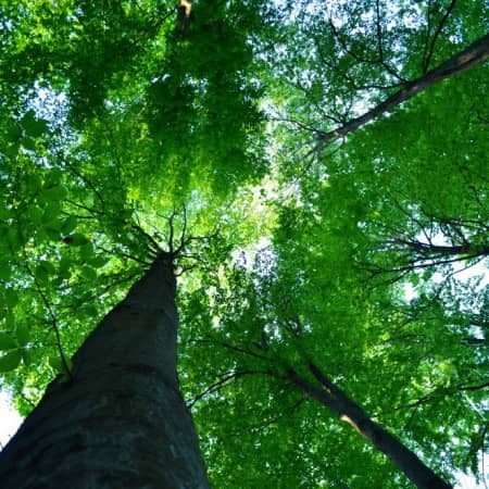 viajes naturaleza Rumanía