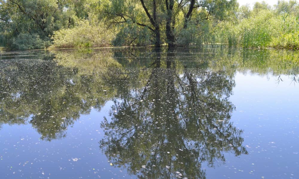 viajes de naturaleza Rumania