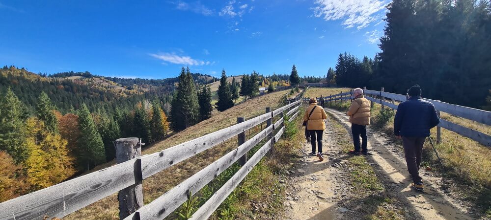 viajes a medida bucovina