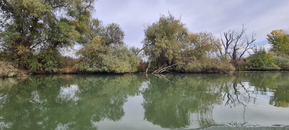 viajes a medida delta del danubio