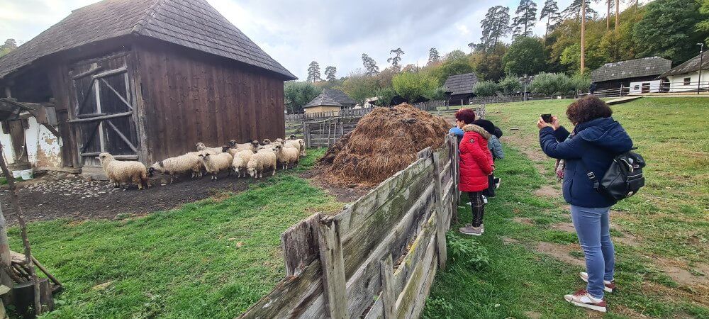 viajes a medida a transilvania