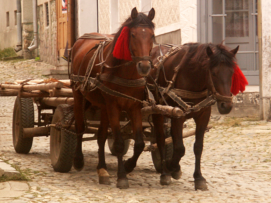 viajes a rumania con ninos
