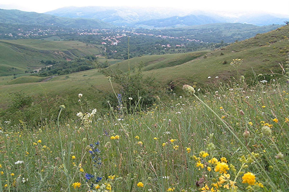 vida rural pueblos de rumania