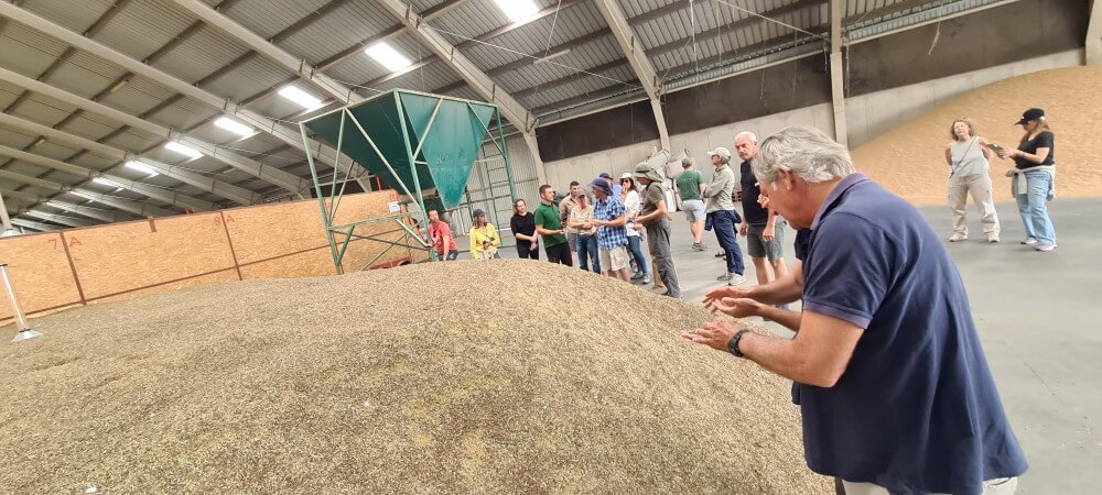 dorin guia rumania visitar rumania con dorin