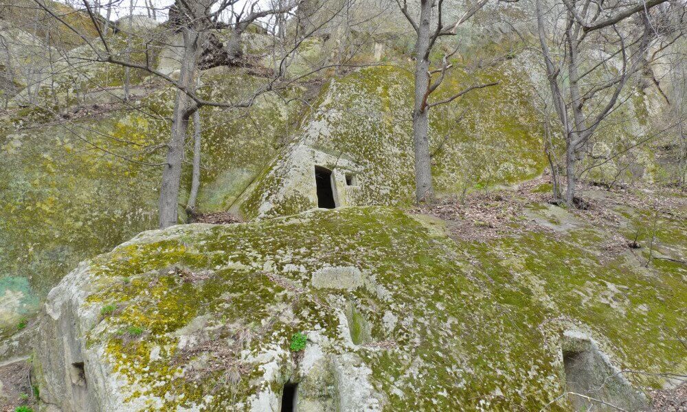 excursiones guiadas carpatos